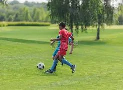 必赢电子,资讯,必赢电子官网,必赢电子官网,必赢电子平台,必赢电子体育,必赢电子APP